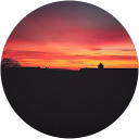 David T profile picture